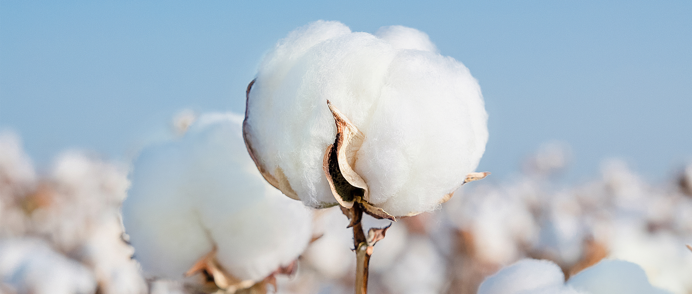 һͼ����PG���ӹ�������2024���ESG����